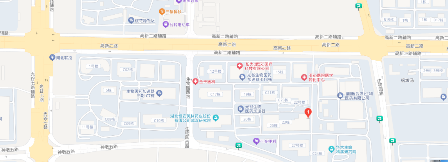 武汉友芝友医疗科技股份有限公司